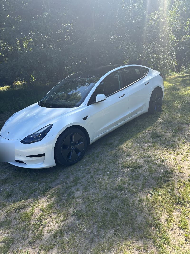 TESLA, Model 3, Standard Range Plus Skrotbil skrotpræmie