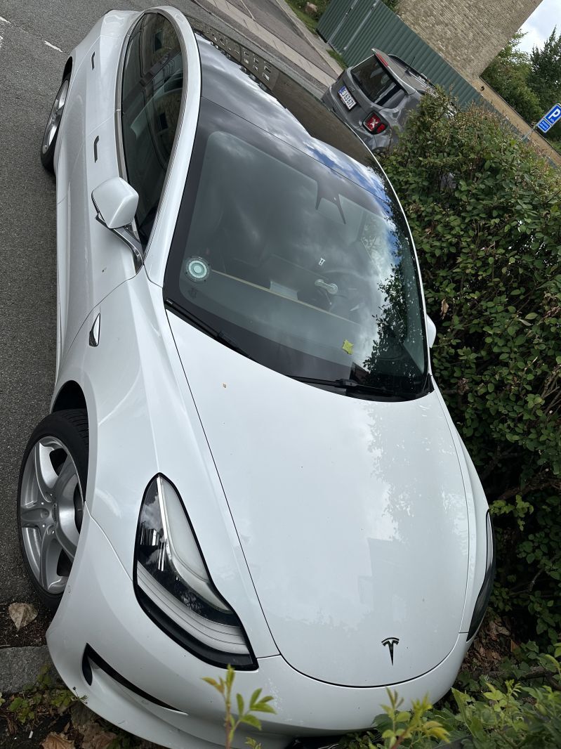TESLA, Model 3, Standard Range Plus Skrotbil skrotpræmie