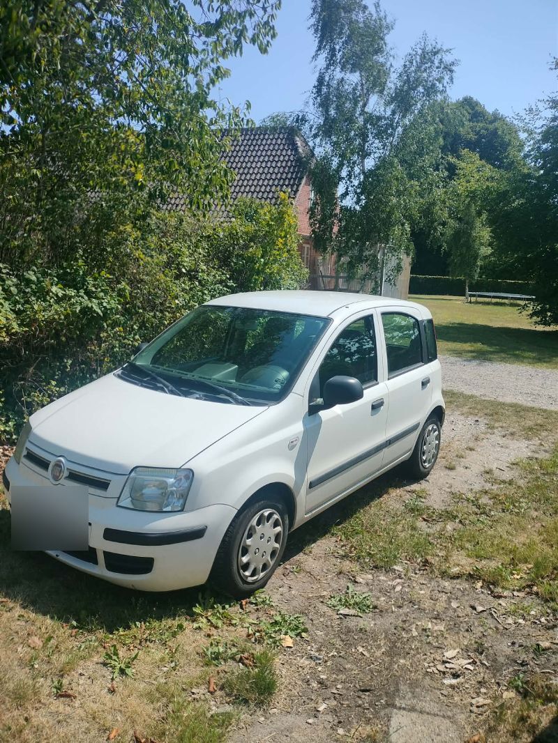 FIAT, PANDA, 1,2 Skrotbil skrotpræmie