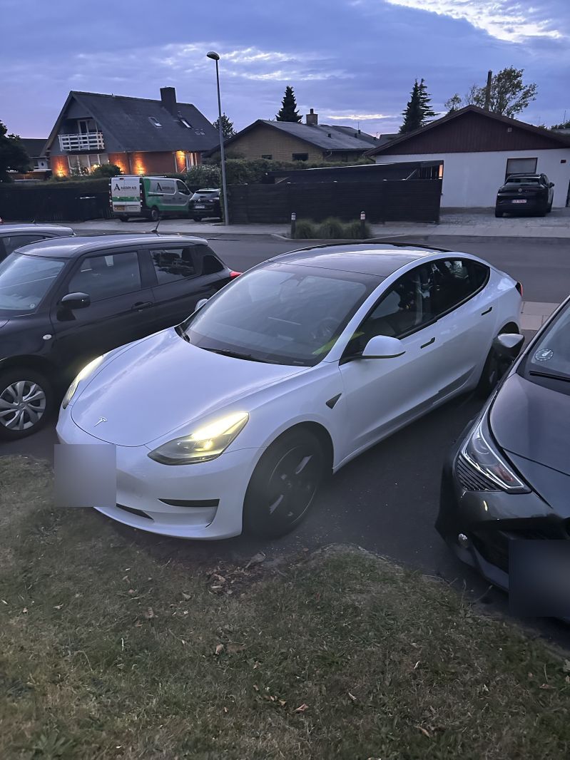 TESLA, Model 3, Baghjulstræk Skrotbil skrotpræmie