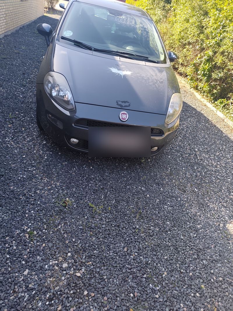 FIAT, Punto S7, 0.9 100 Skrotbil skrotpræmie