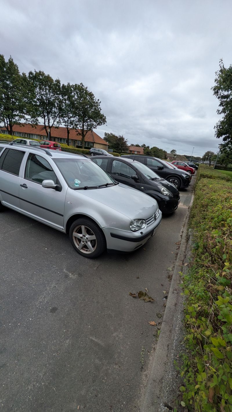 VW, golf 4, 1,6 Skrotbil skrotpræmie