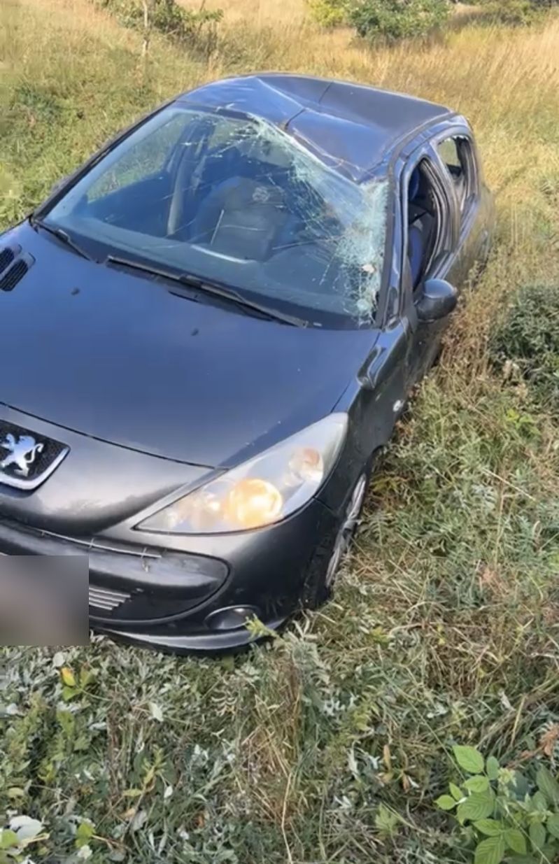 PEUGEOT, 206 +, 1,4 HDI 68 HK 5-D Skrotbil skrotpræmie