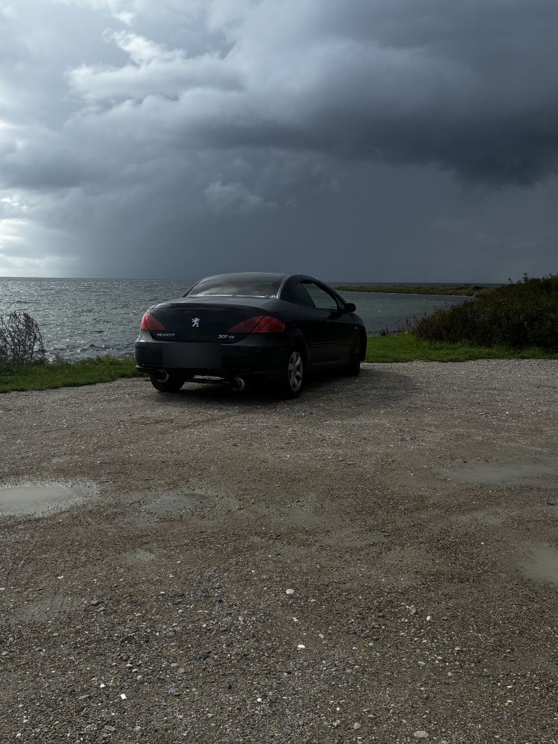 PEUGEOT, 307, 2,0 I CC Skrotbil skrotpræmie