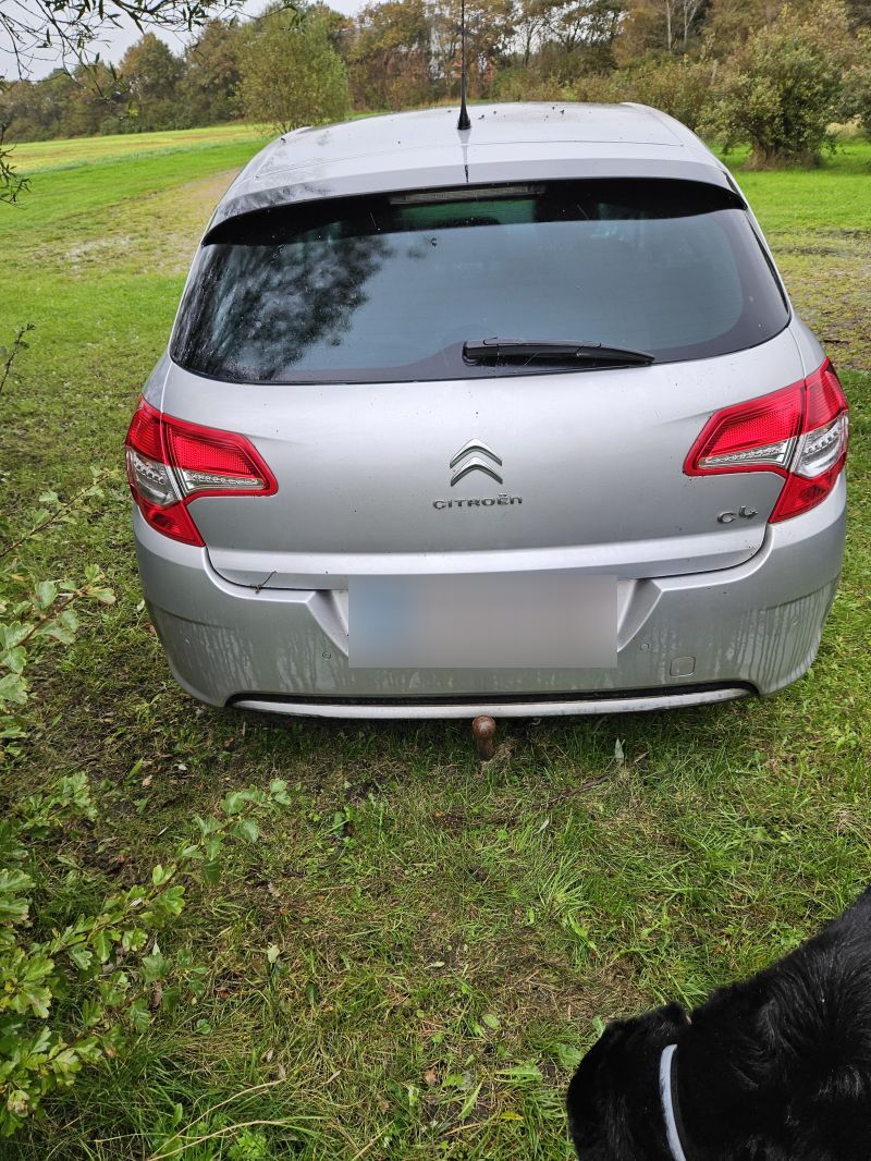 CITROËN, C4, HDI 90 Skrotbil skrotpræmie