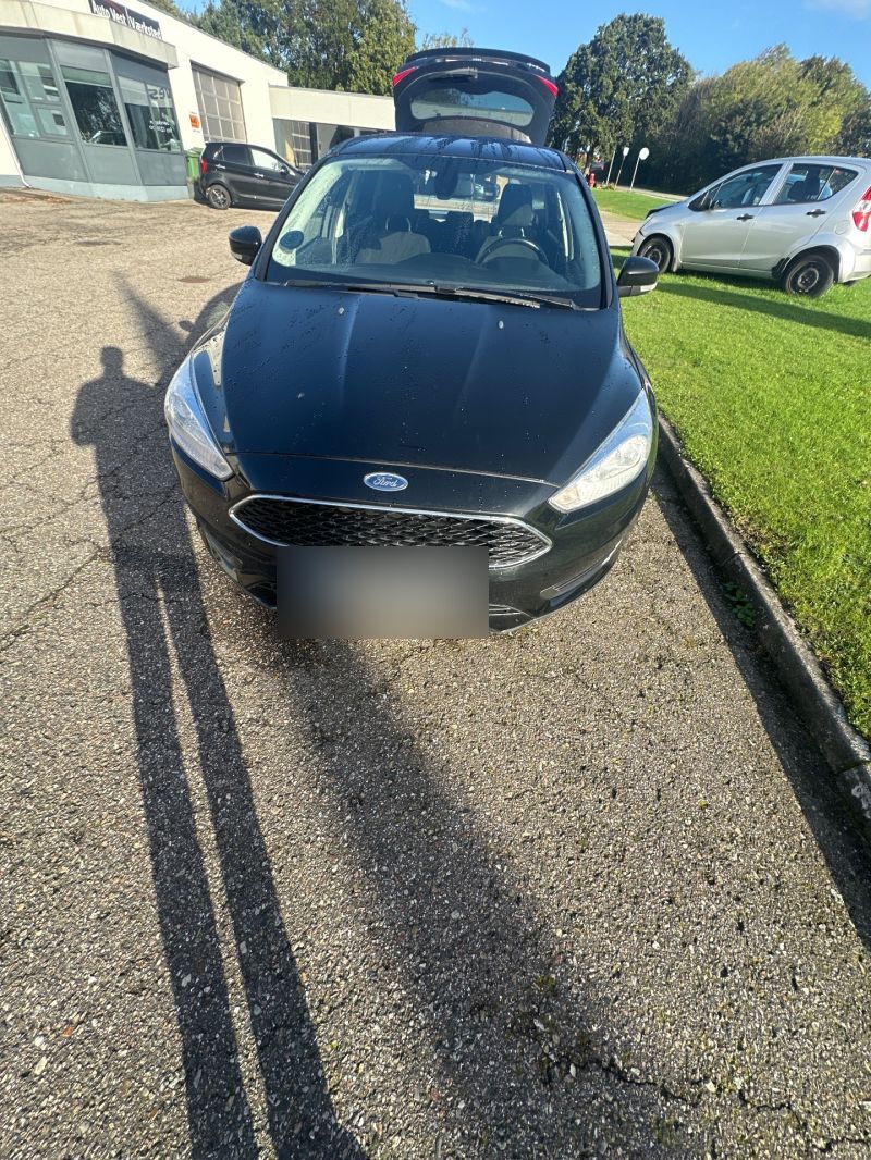 FORD, FOCUS, M2DC16X Skrotbil skrotpræmie