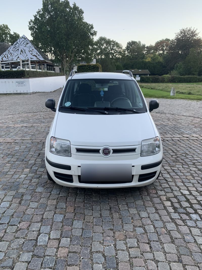 FIAT, PANDA, 1,2 Skrotbil skrotpræmie