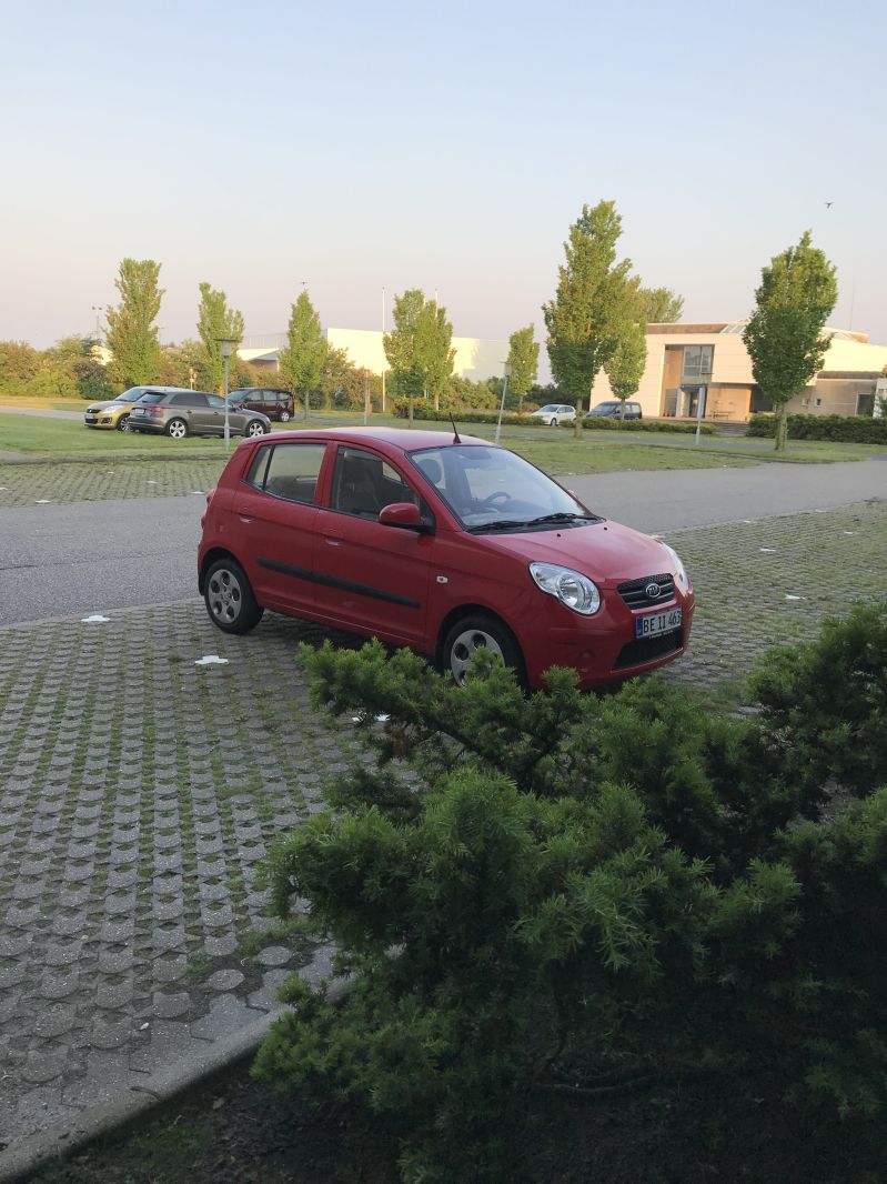 KIA, PICANTO, 1,1 Skrotbil skrotpræmie