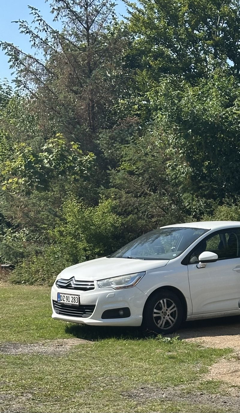 CITROËN, C4, 1,4 4-dørs m. bagklap Skrotbil skrotpræmie