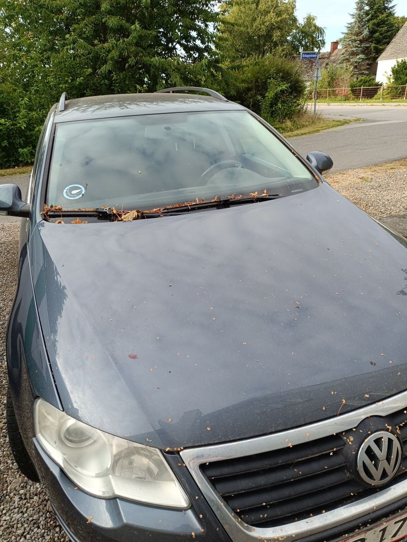 VOLKSWAGEN, PASSAT, UOPLYST Skrotbil skrotpræmie