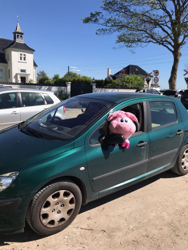 PEUGEOT, 307, 1,6 Skrotbil skrotpræmie