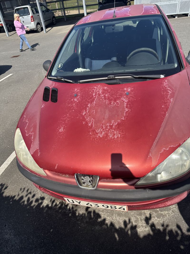 PEUGEOT, 206, 1,6 Skrotbil skrotpræmie