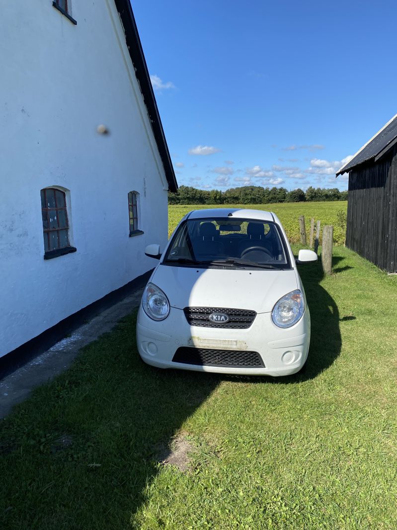 KIA, PICANTO, 1,1 Skrotbil skrotpræmie