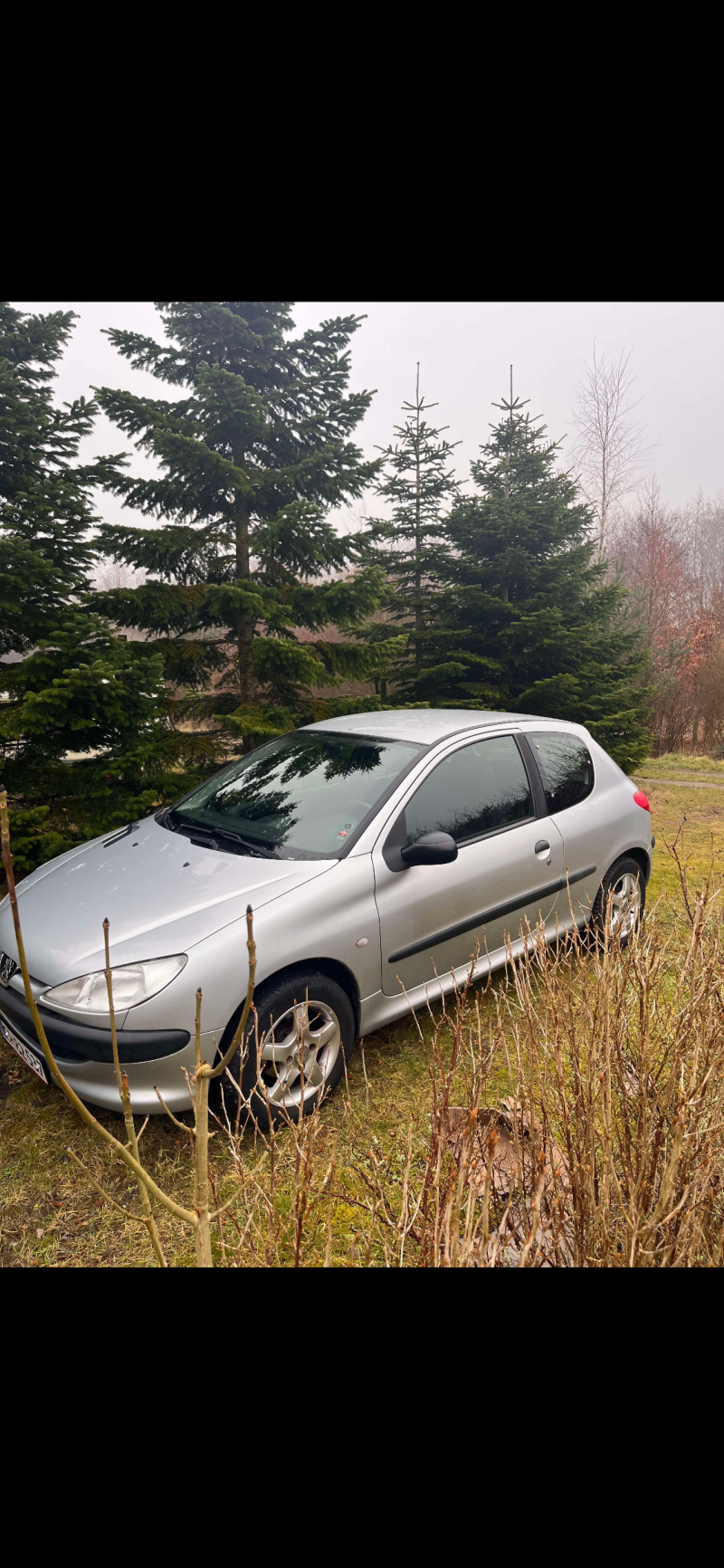 PEUGEOT, 206, 1,1 Skrotbil skrotpræmie