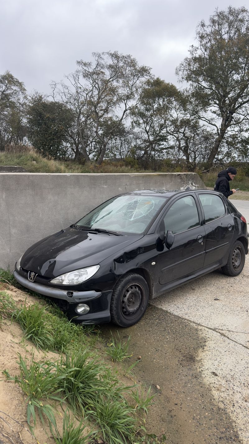 PEUGEOT, 206, 1,4 HDI-5 DØRS Skrotbil skrotpræmie