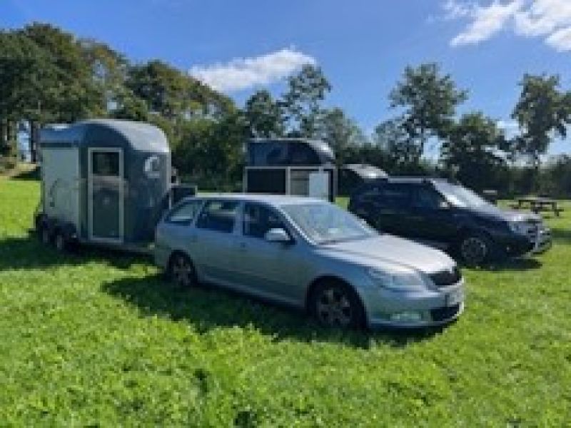 SKODA, OCTAVIA COMBI, 1,6 TDI GREENLINE Skrotbil skrotpræmie