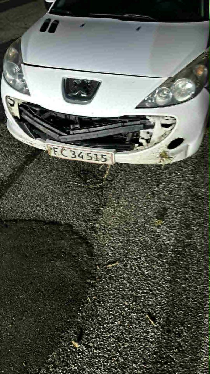 PEUGEOT, 206 +, 1,4 HDI 68 HK 5-D Skrotbil skrotpræmie