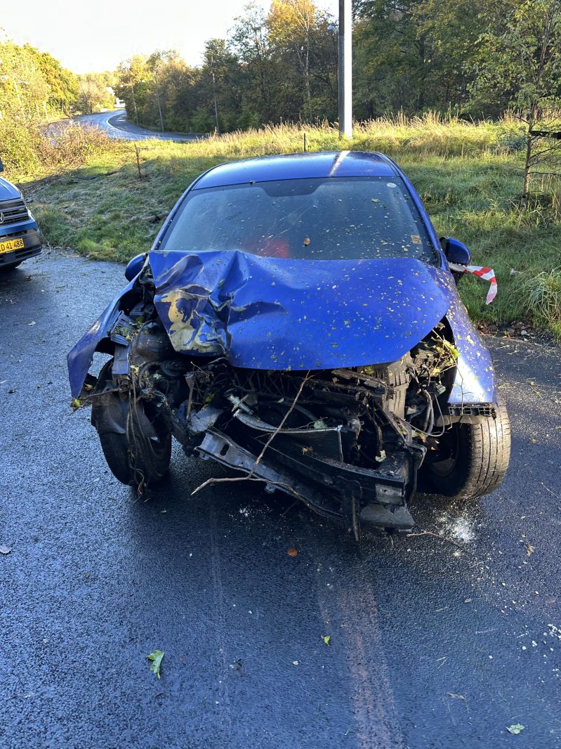 KIA, RIO, 1.2 5-dørs Man. 5 Skrotbil skrotpræmie