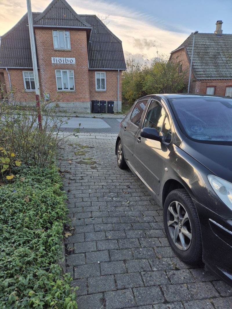 PEUGEOT, 307, 1,6 I Skrotbil skrotpræmie