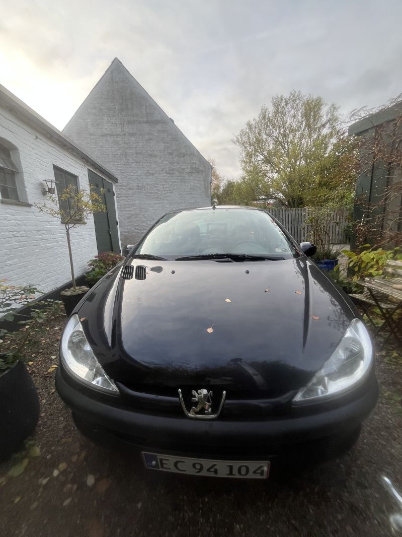 PEUGEOT, 206, 1,4 Skrotbil skrotpræmie