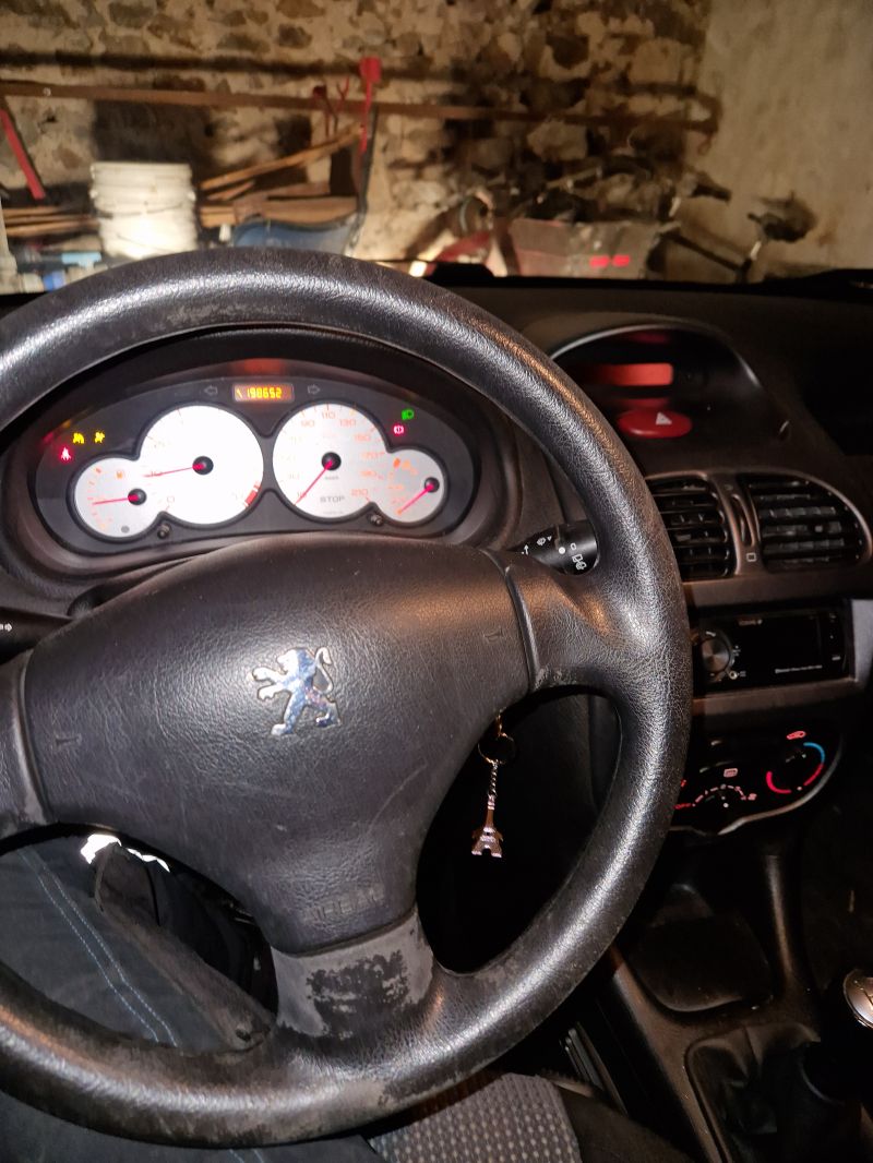 PEUGEOT, 206, 1,6 Skrotbil skrotpræmie