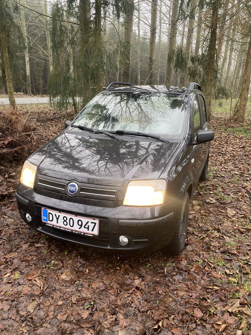 FIAT, PANDA, 1,2 5 DØRS Skrotbil skrotpræmie