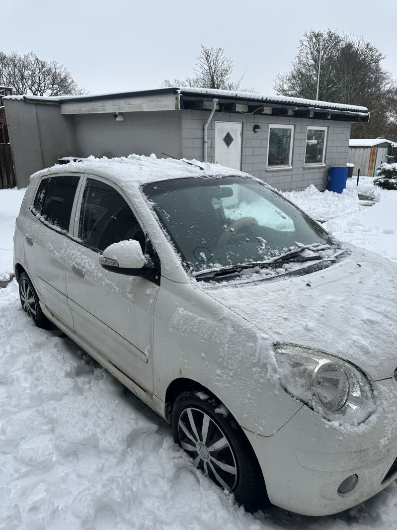 KIA, PICANTO, 1,1 Skrotbil skrotpræmie