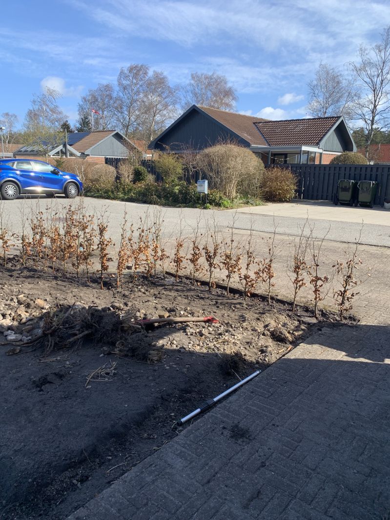 RENAULT, Captur, dCi 115 EDC Skrotbil skrotpræmie