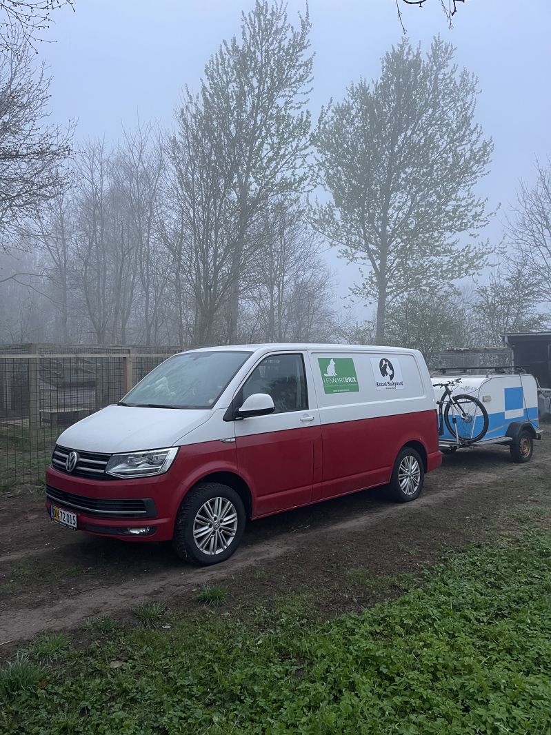 VOLKSWAGEN, TRANSPORTER, 2.0 TDI 204 KASSEVOGN KORT DSG7 Skrotbil skrotpræmie