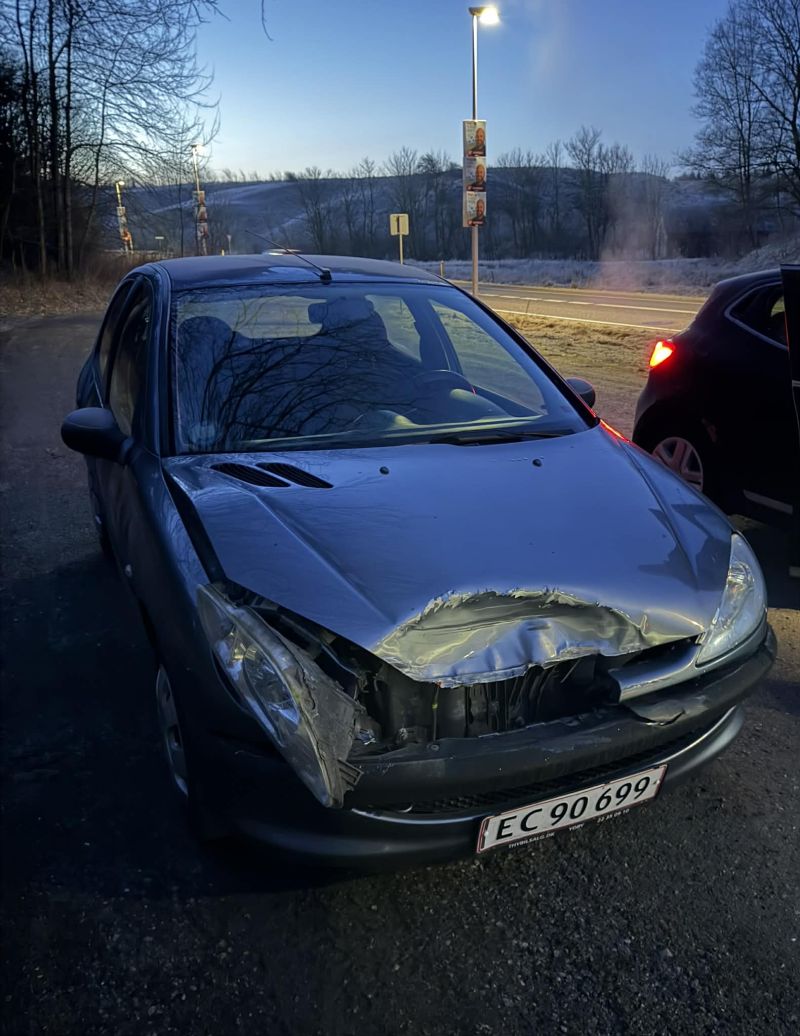 PEUGEOT, 206, 1,4 Skrotbil skrotpræmie