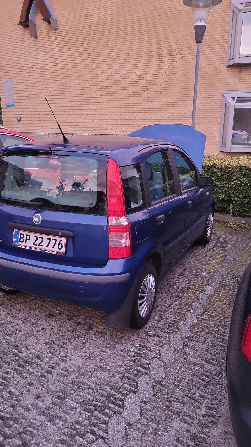 FIAT, PANDA, 1,2 Skrotbil skrotpræmie