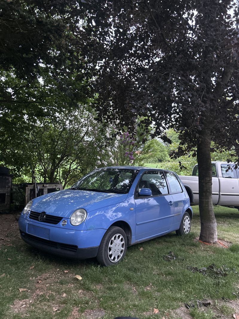 Vw lupo. 1.0 benzin  Skrotbil skrotpræmie