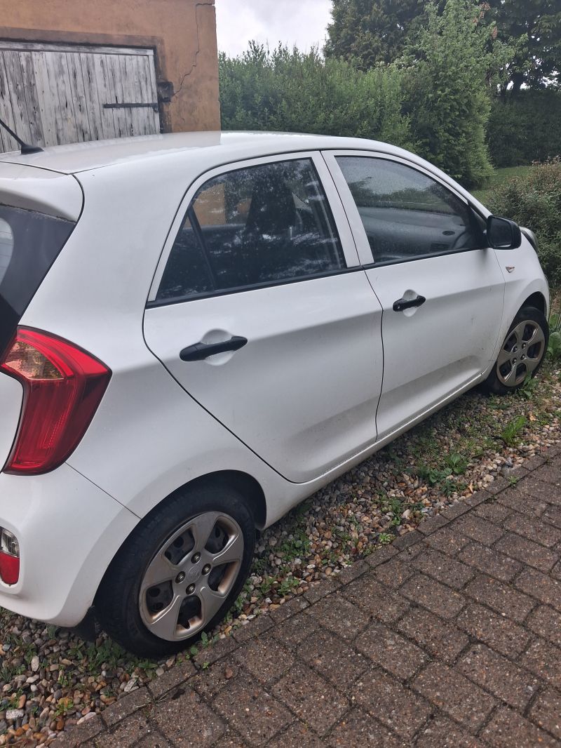 KIA, PICANTO, 1.0 5-dørs Man. 5 Skrotbil skrotpræmie