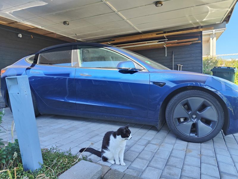 TESLA, Model 3, Long Range Dual Motor 4-dr Fixed ratio Skrotbil skrotpræmie